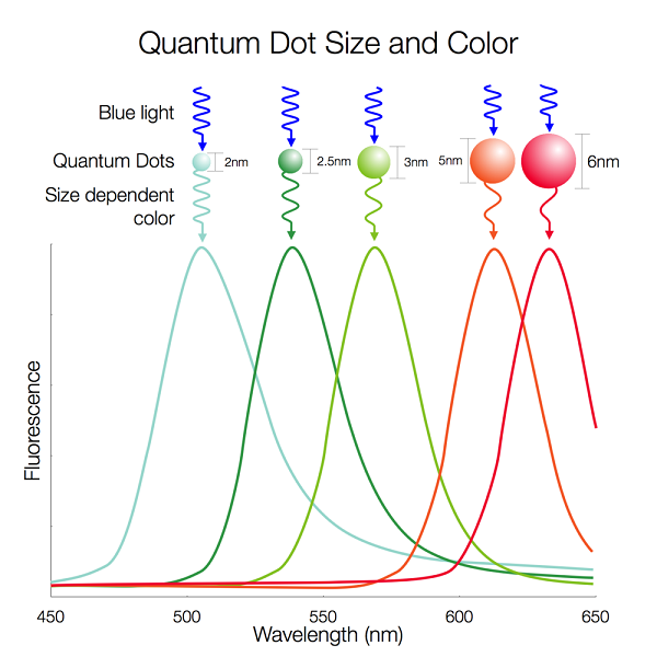 Quantum Dots: Nanotechnology Meets Displays | Radiant Vision Systems